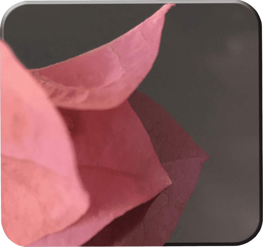 Surface Finishing (mirror)