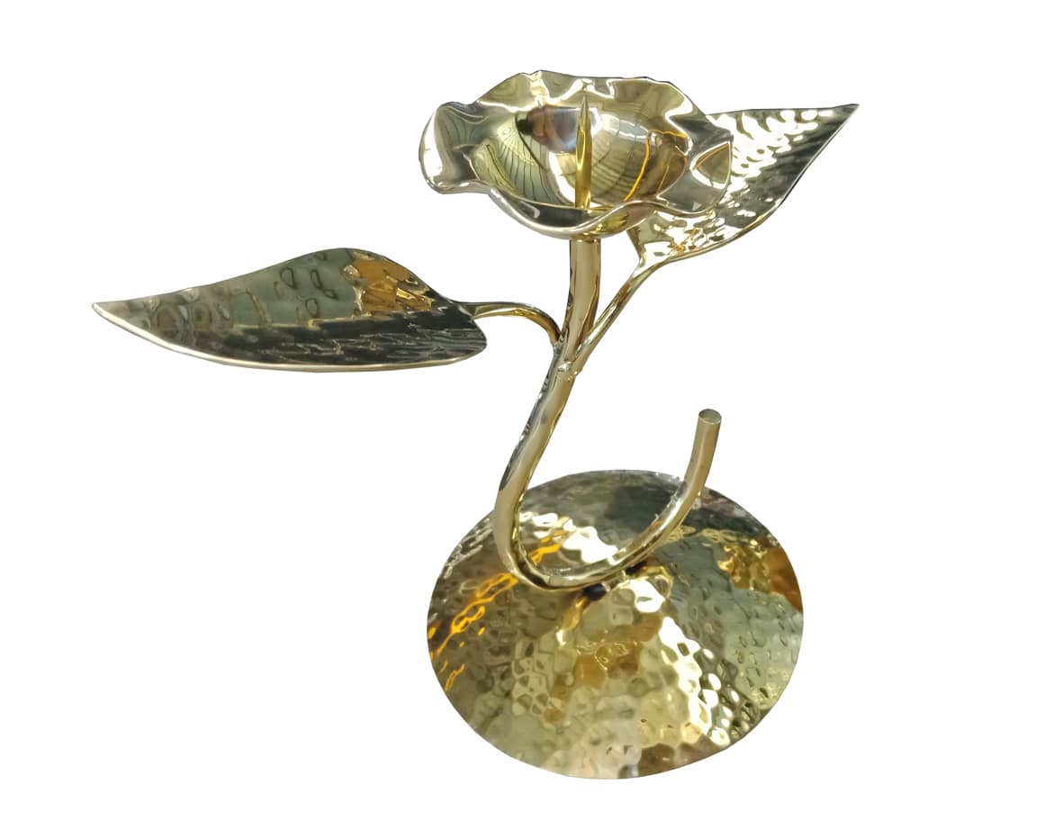 PVD Titanium Gold Coating