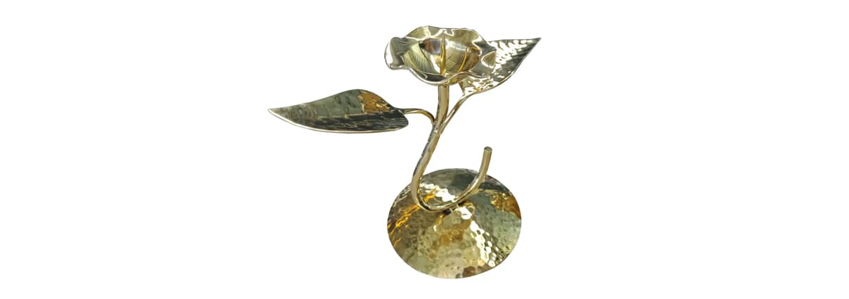 PVD Titanium Gold Coating