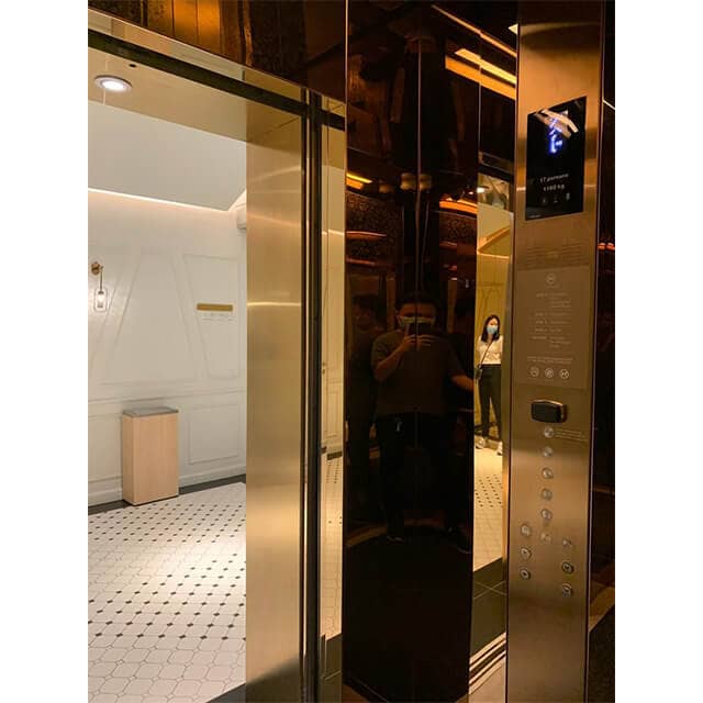Interior and Exterior decoration in pvd gold color
