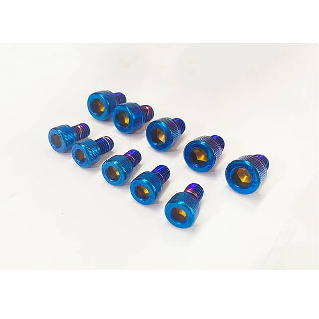 Bolts coated in pvd titanium blue coating.