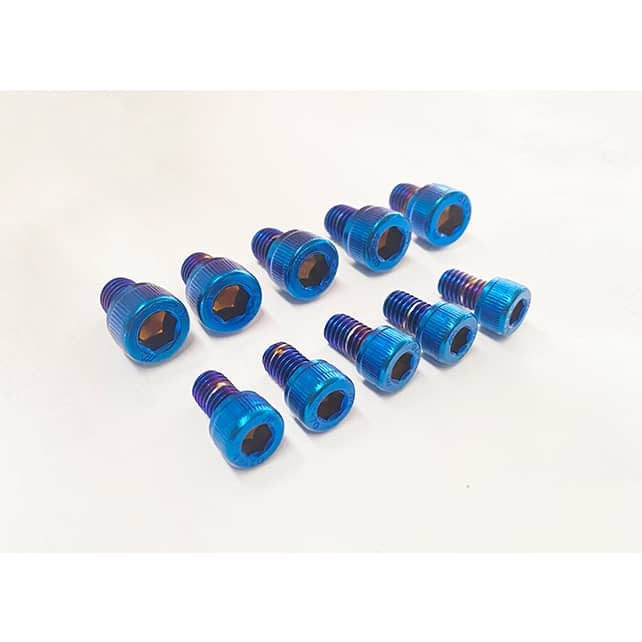 Bolts coated in pvd titanium blue coating.