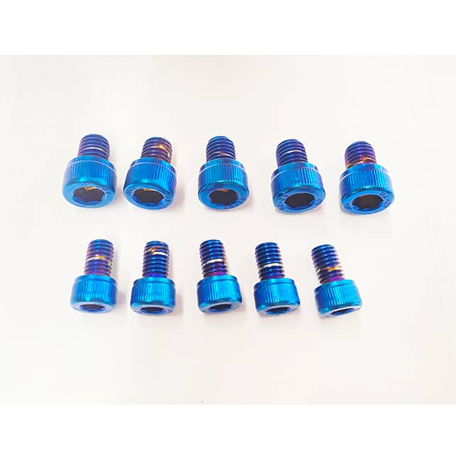 Bolts coated in pvd titanium blue coating.