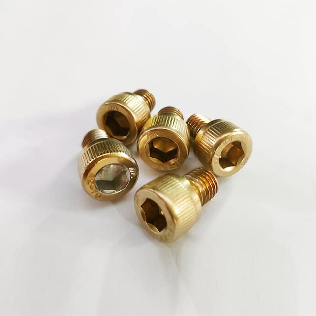 Screws with PVD Titanium Gold Coating