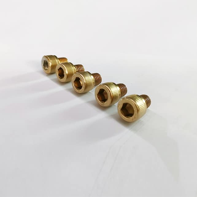 Screws with PVD Titanium Gold Coating