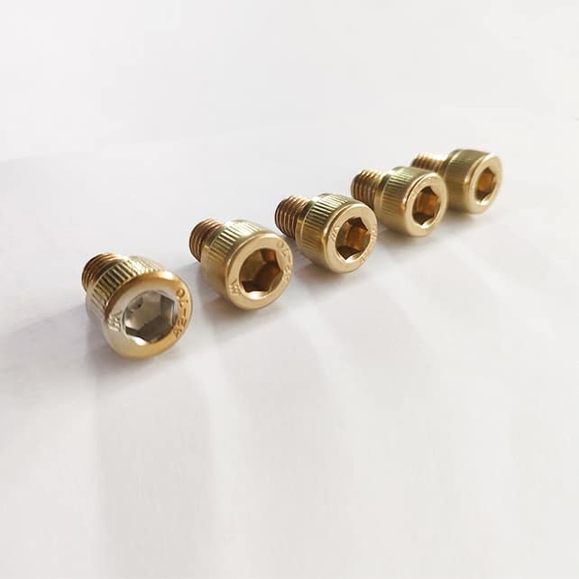 Screws with PVD Titanium Gold Coating